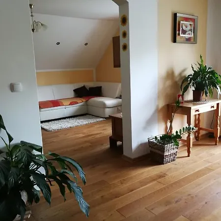 아파트 Apartma No.1, Studor *